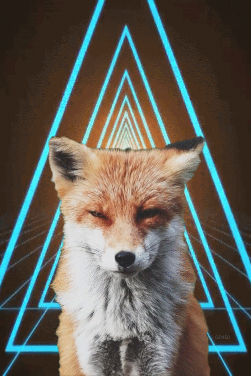 fox_triangle